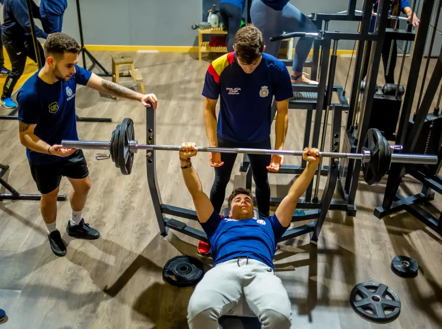 Entrenamiento